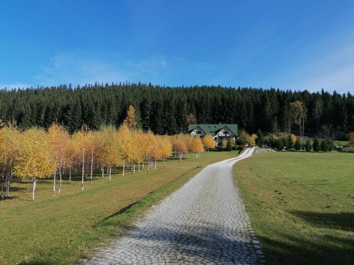 Apartmán Janowa Gora Apartament Stronie Śląskie Exteriér fotografie